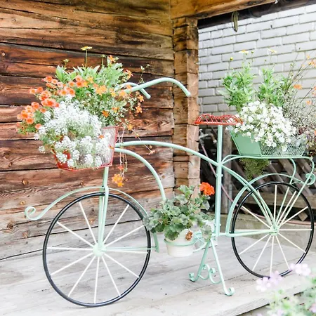 Bed & Breakfast Sportpension Carinthia Solden